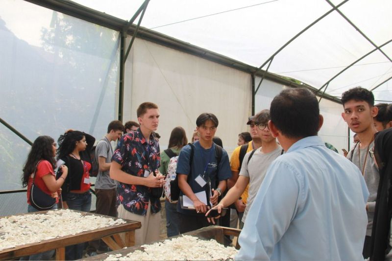 Students and farmers looking over cassava spread on drying tables inside a greenhouse in Indonesia